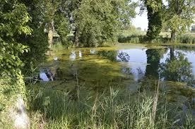 Lago Aiso o Abisso a Bevagna